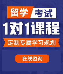 大鸡巴操逼好爽视频留学考试一对一精品课